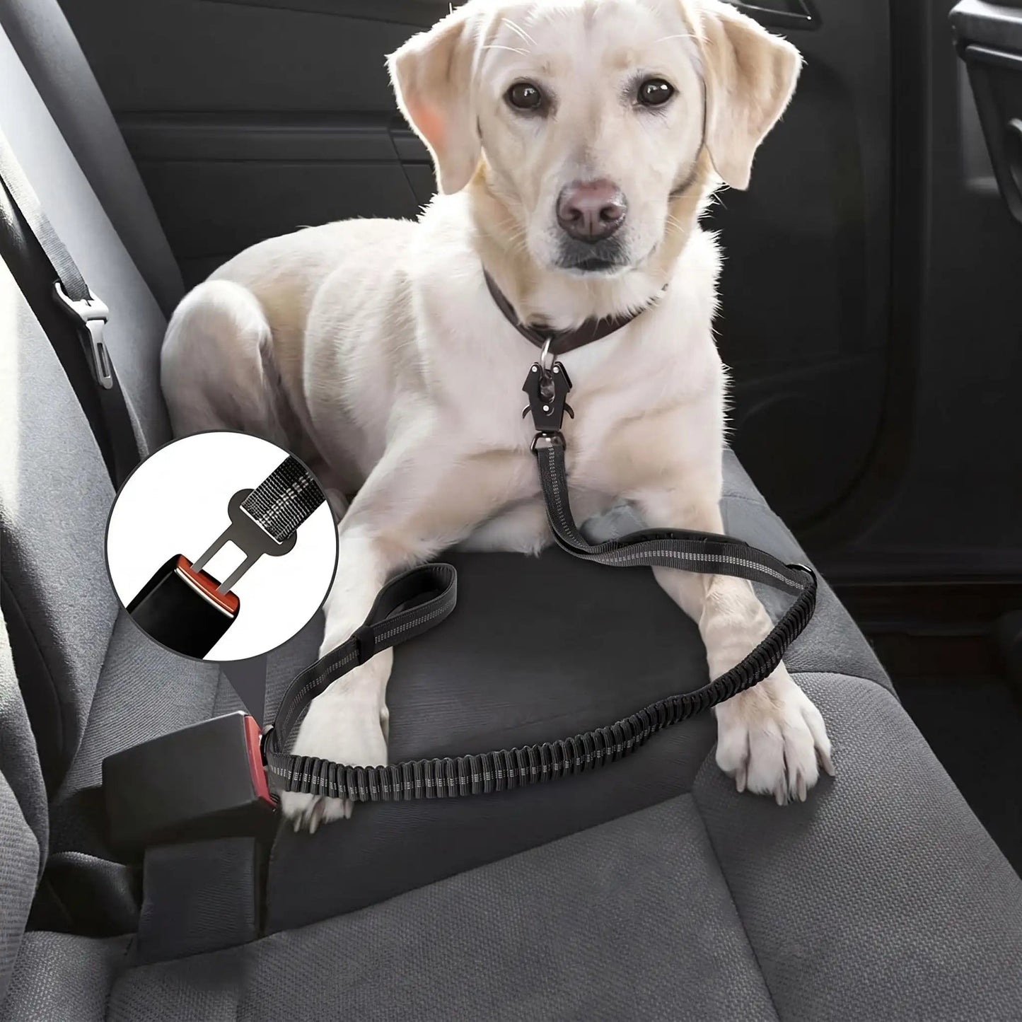 Laisse pour chien | Quickie Deluxe Leash - Les Pattes Nomades