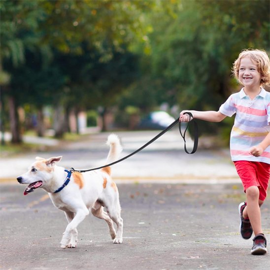 Enfant promenant son chien avec une laisse de chien noire en extérieur