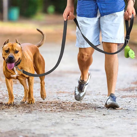 Homme promenant son chien avec une laisse de chien noire en extérieur