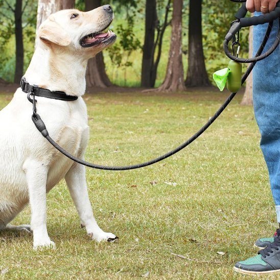 Laisse Chien | Elegante Classic - Les Pattes Nomades