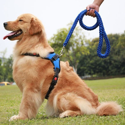 Laisse Chien | Titan Corda™ - Les Pattes Nomades