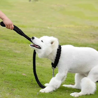 Laisse Chien | Titan Corda™ - Les Pattes Nomades