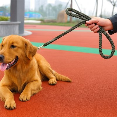 Laisse pour Chien | Braided Leash Pro - Les Pattes Nomades