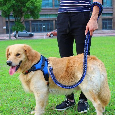 Laisse pour Chien | Braided Leash Pro - Les Pattes Nomades