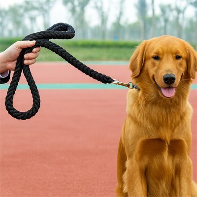 Laisse pour Chien | Braided Leash Pro - Les Pattes Nomades
