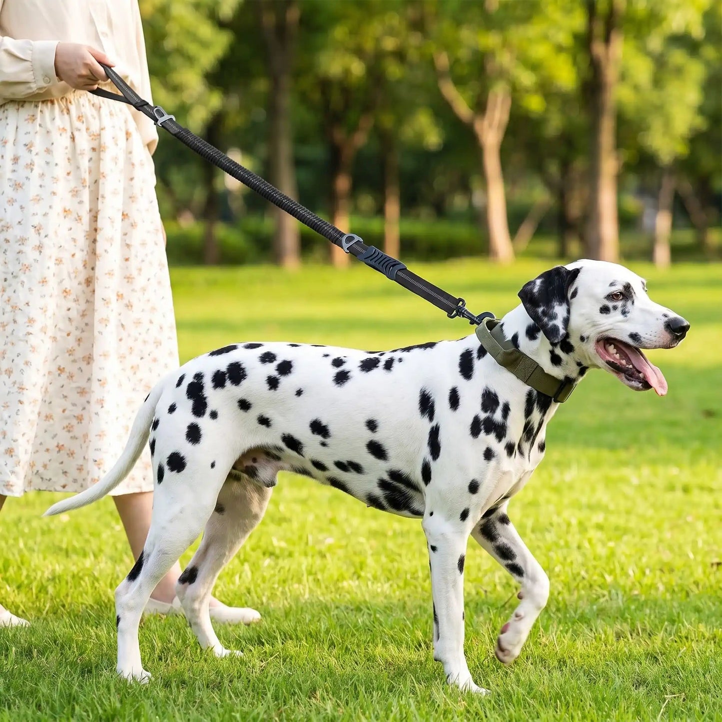 Laisse pour chien | Quickie Deluxe Leash - Les Pattes Nomades