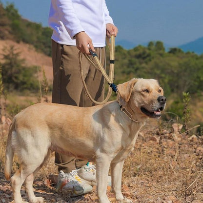 Laisse pour chien | Quickie Deluxe Leash - Les Pattes Nomades