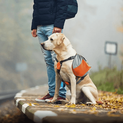 Sac de Voyage Chien - DogBackpack™ - Orange - Les Pattes Nomades